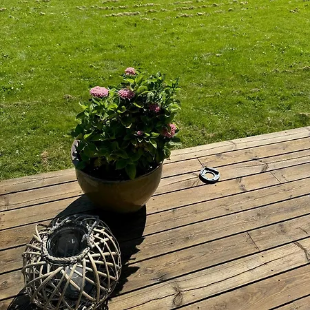 Nature And Calm In Modern On Tuse Naes *